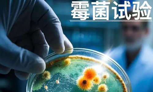 ù��ʵ����(����) ��ⱨ��, ���Ӳ�Ʒ��ù������Ի���