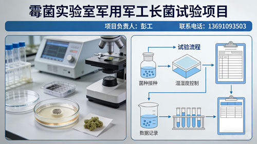 ù��������(GJB150.10A/GB2423)���þ�������������